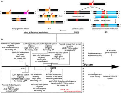 In Vivo Applications of CRISPR-Based Genome Editing in the Retina